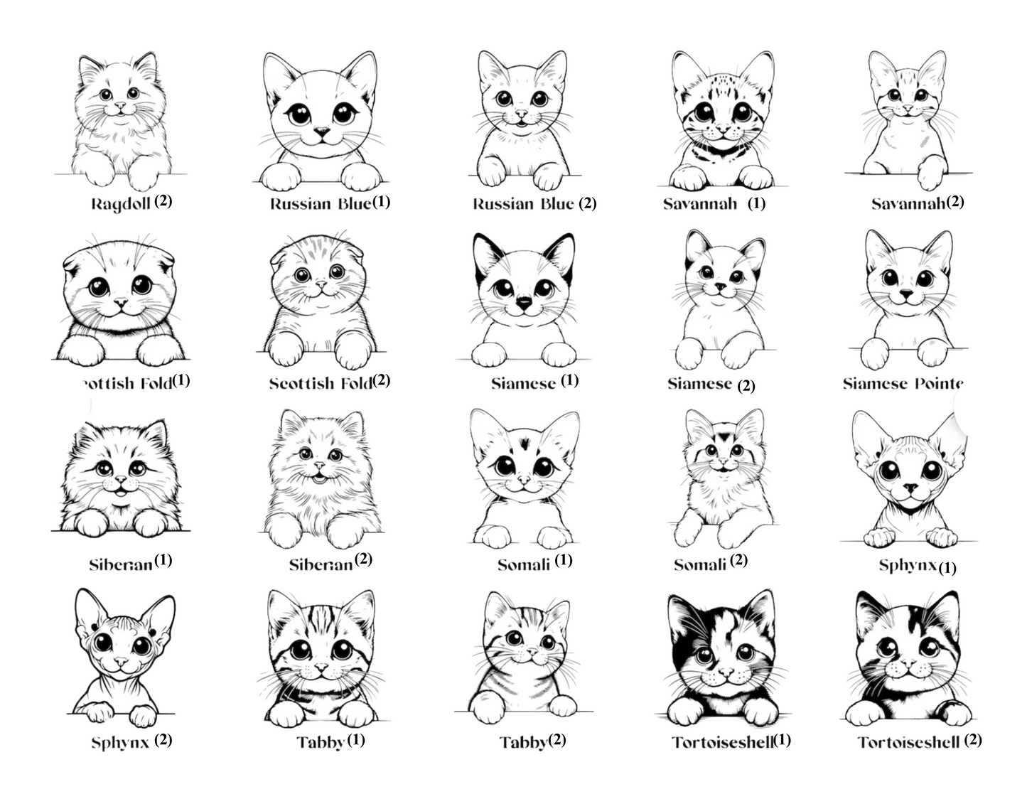 Custom Dog/Cat Breed Magnets