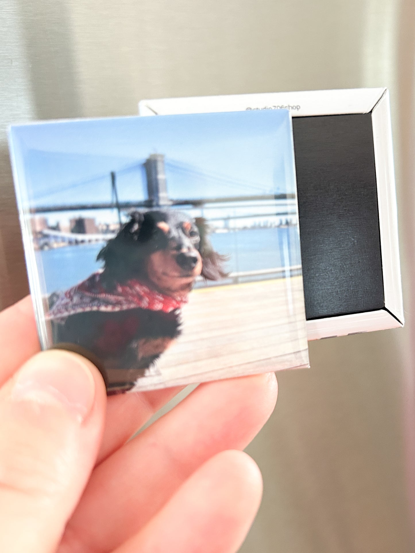 Custom Photo Magnets