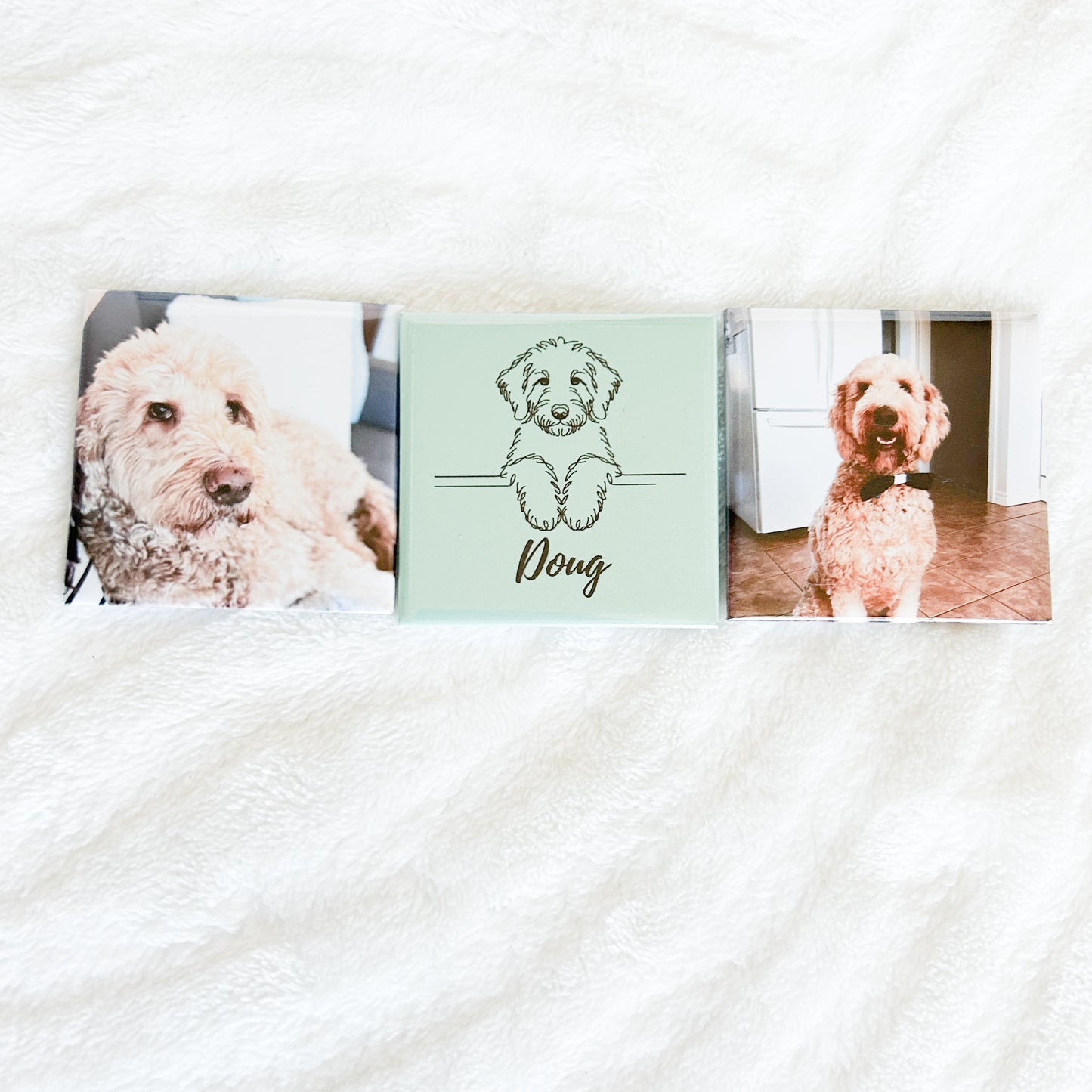 Custom Dog/Cat Breed Magnets