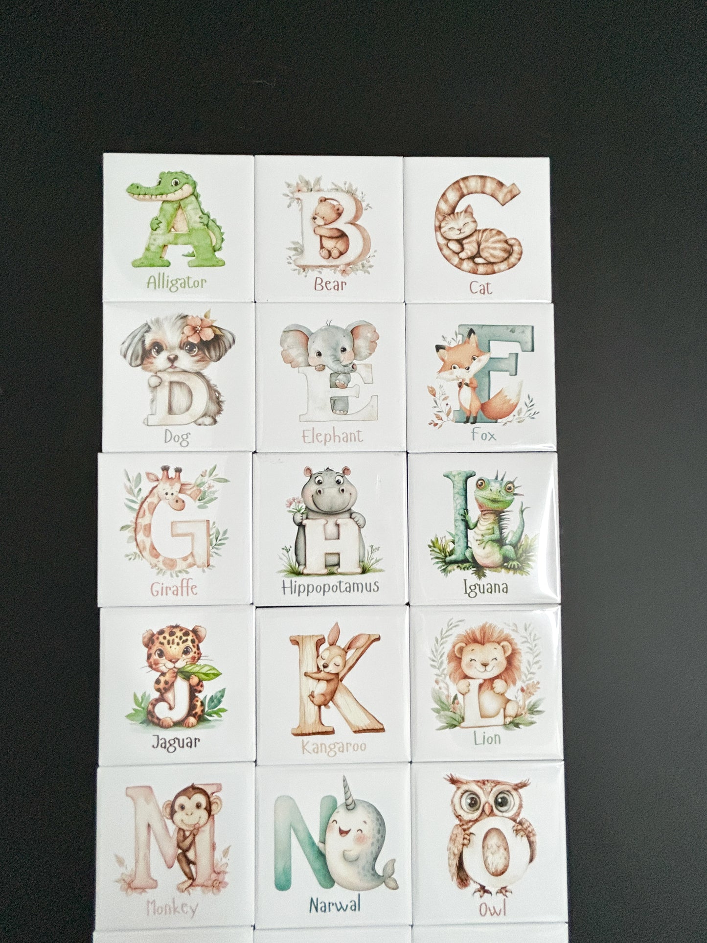 Alphabet Magnets Set