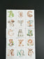 Alphabet Magnets Set