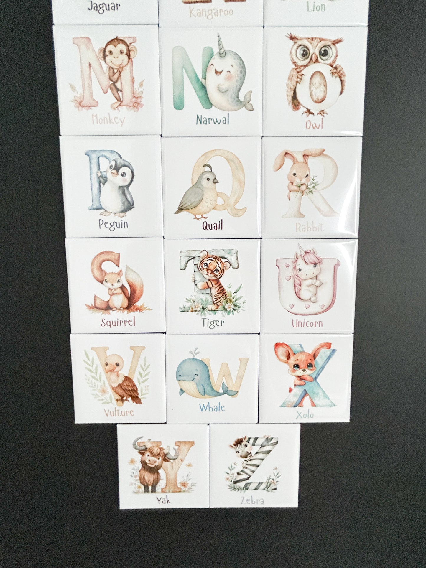 Alphabet Magnets Set
